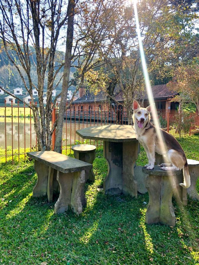 Pousada Parque Das Pitangueiras Flores da Cunha Zewnętrze zdjęcie