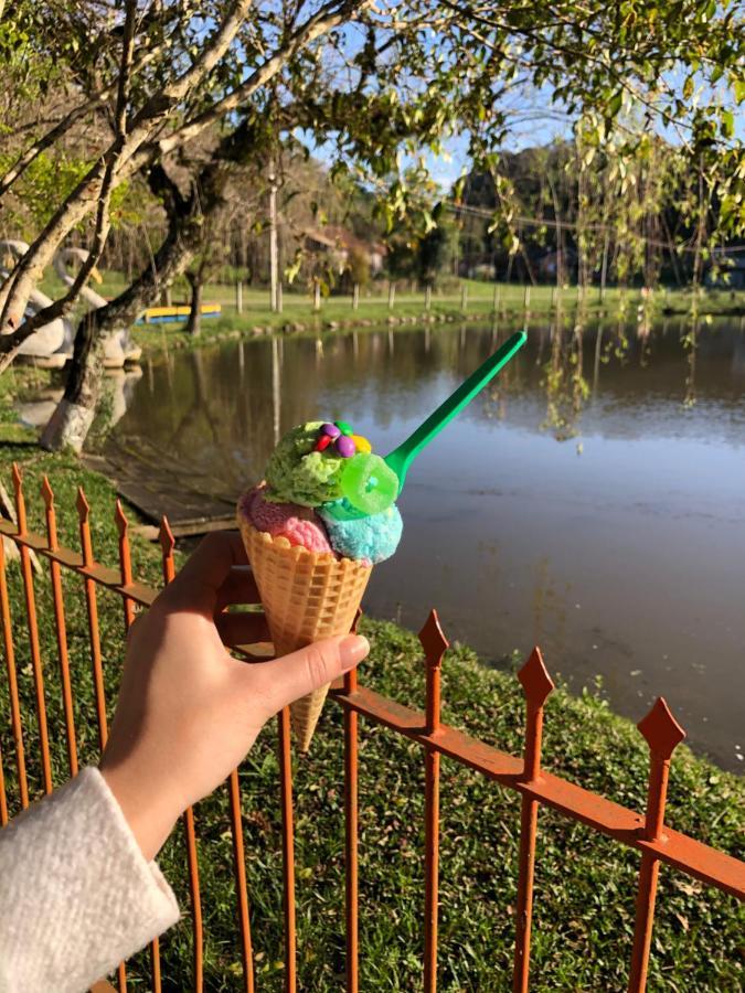 Pousada Parque Das Pitangueiras Flores da Cunha Zewnętrze zdjęcie