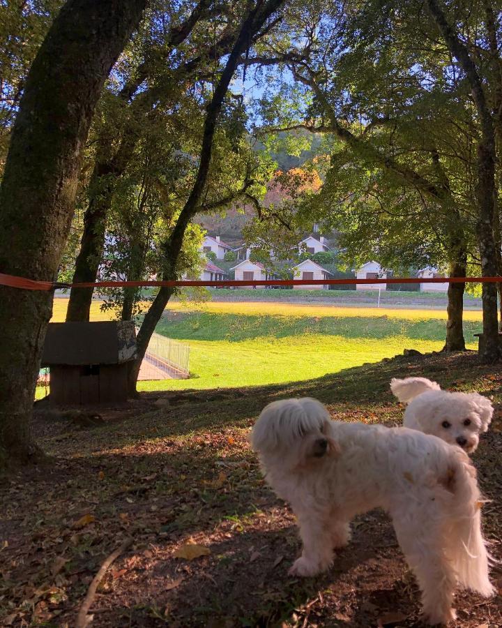 Pousada Parque Das Pitangueiras Flores da Cunha Zewnętrze zdjęcie