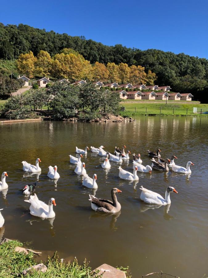 Pousada Parque Das Pitangueiras Flores da Cunha Zewnętrze zdjęcie
