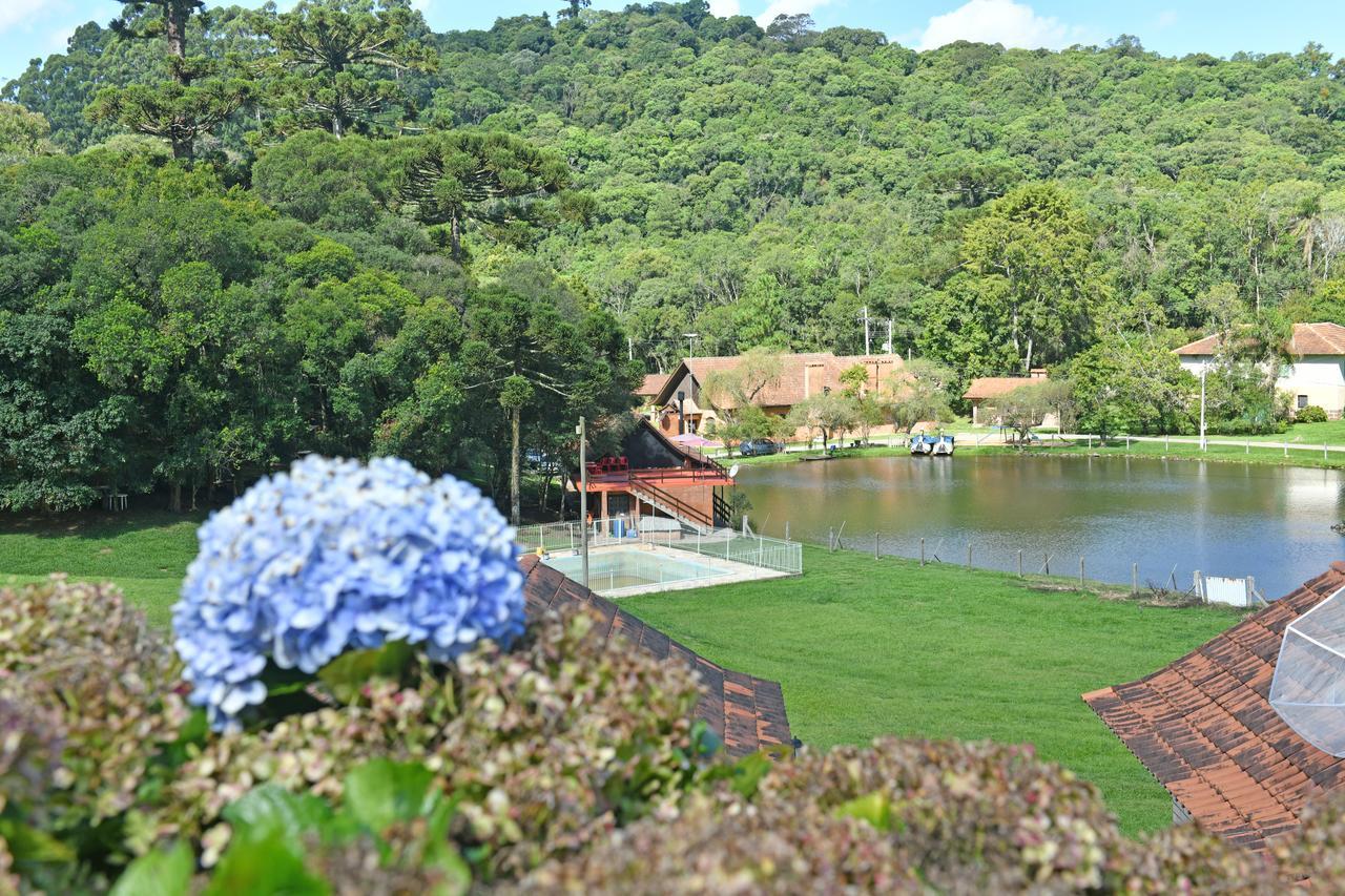Pousada Parque Das Pitangueiras Flores da Cunha Zewnętrze zdjęcie