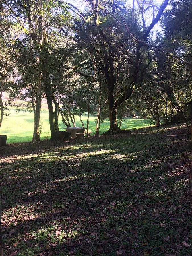 Pousada Parque Das Pitangueiras Flores da Cunha Zewnętrze zdjęcie