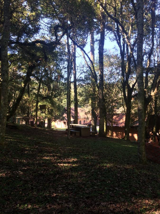 Pousada Parque Das Pitangueiras Flores da Cunha Zewnętrze zdjęcie