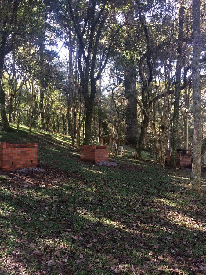 Pousada Parque Das Pitangueiras Flores da Cunha Zewnętrze zdjęcie