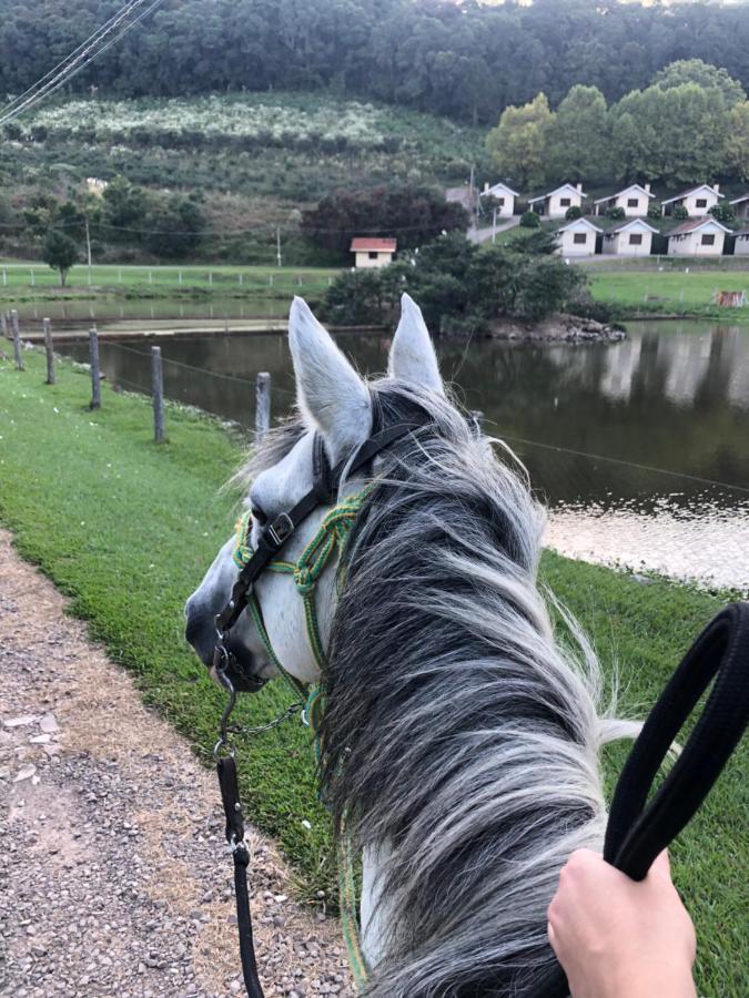 Pousada Parque Das Pitangueiras Flores da Cunha Zewnętrze zdjęcie